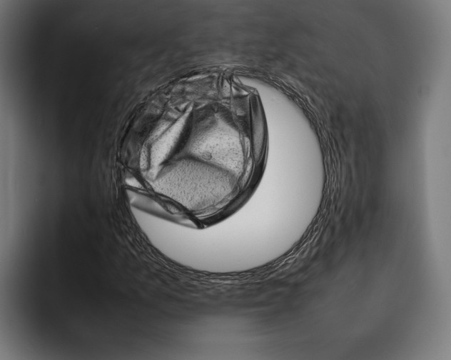 X0000092271157200710121335