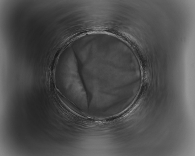 X0000092271161200710121335