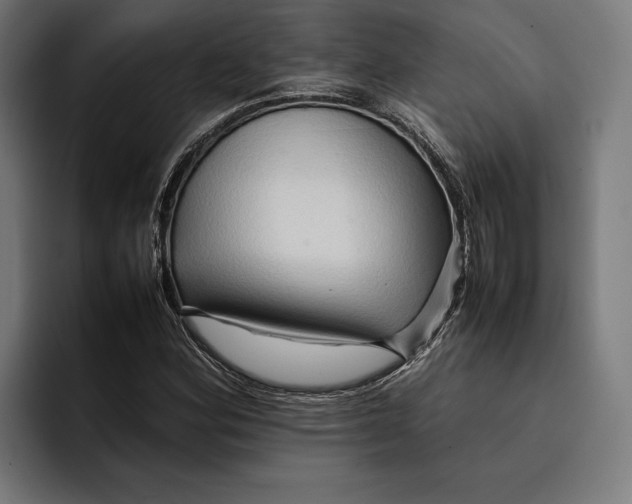 X0000092271164200710121335