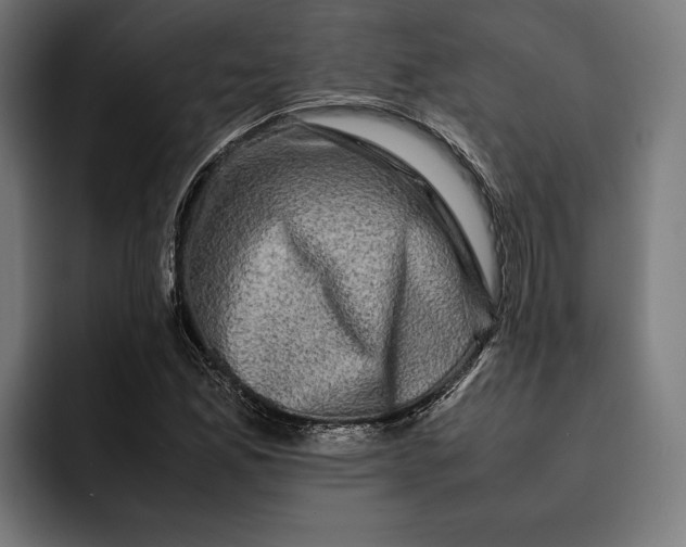 X0000092271165200710121335