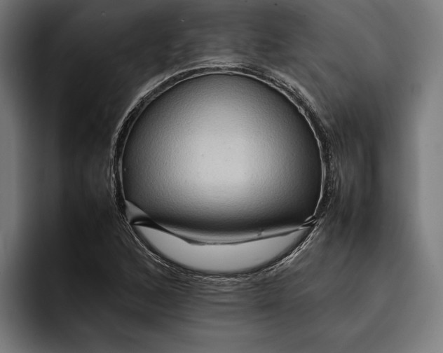 X0000092271168200710121335