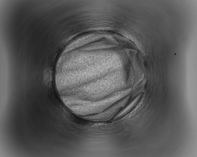 X0000092271169200710121335