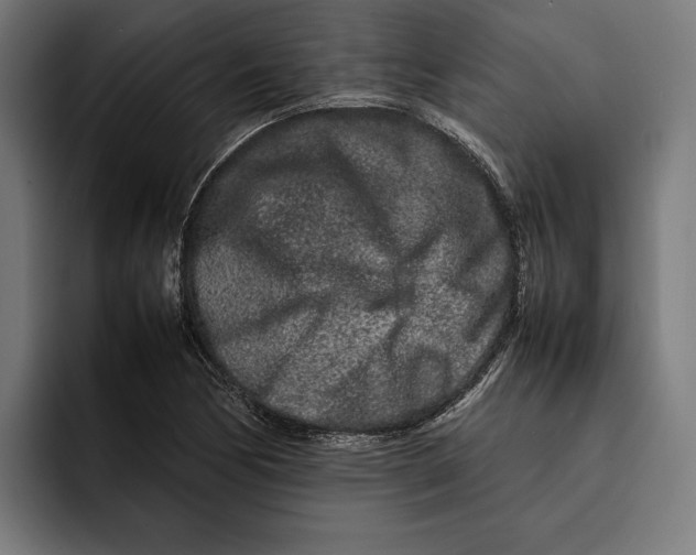 X0000092271170200710121335
