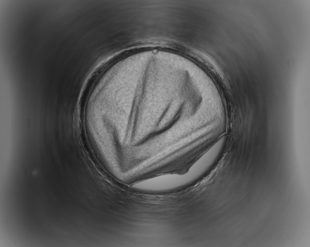 X0000092271172200710121335