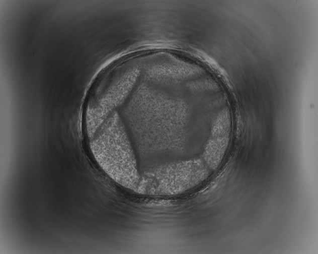 X0000092271174200710121335