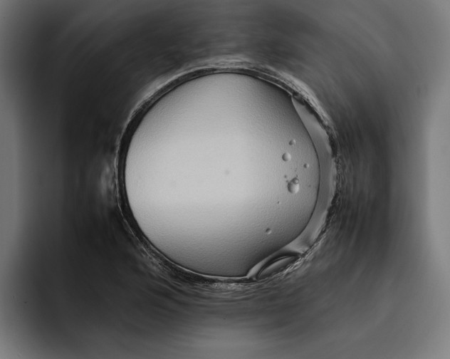 X0000092271176200710121335