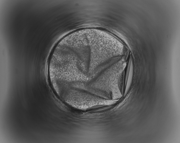 X0000092271179200710121335