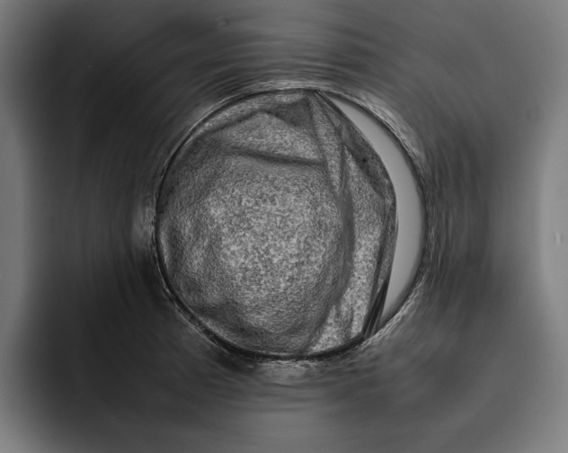 X0000092271185200710121334