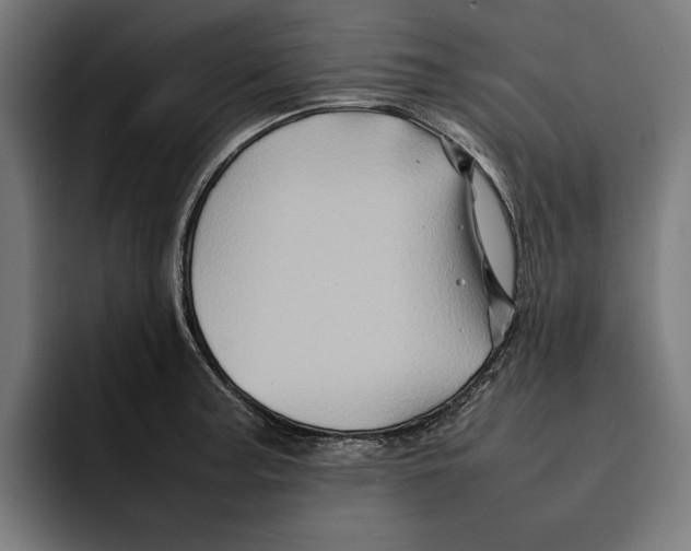 X0000092271187200710121334