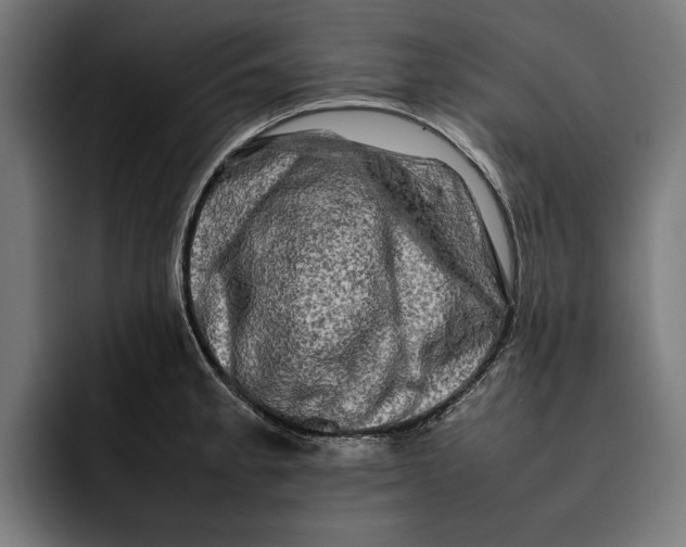 X0000092271189200710121334