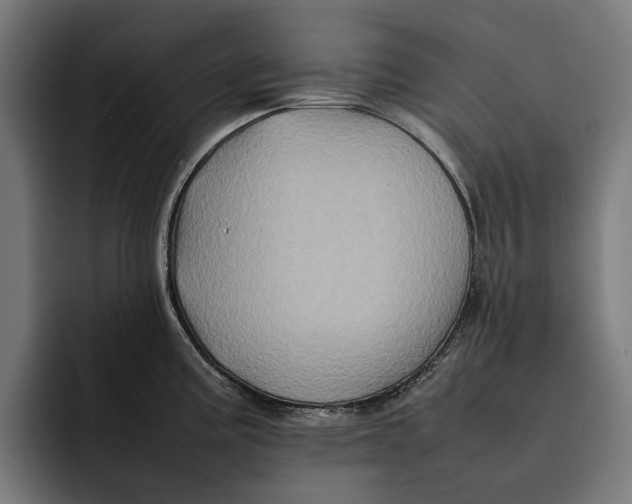 X0000092271195200710121334