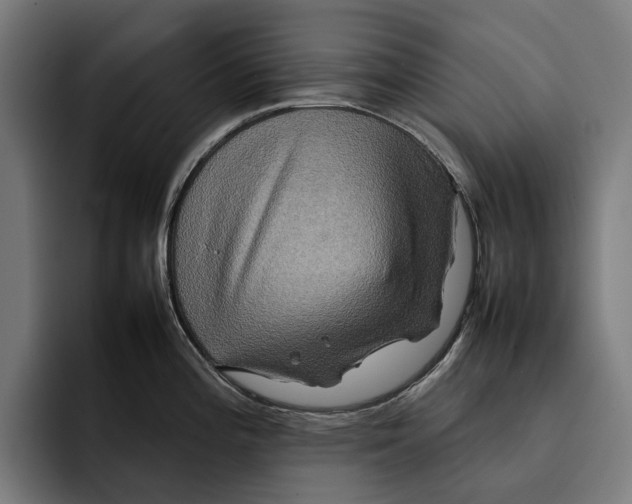 X0000092271196200710121334
