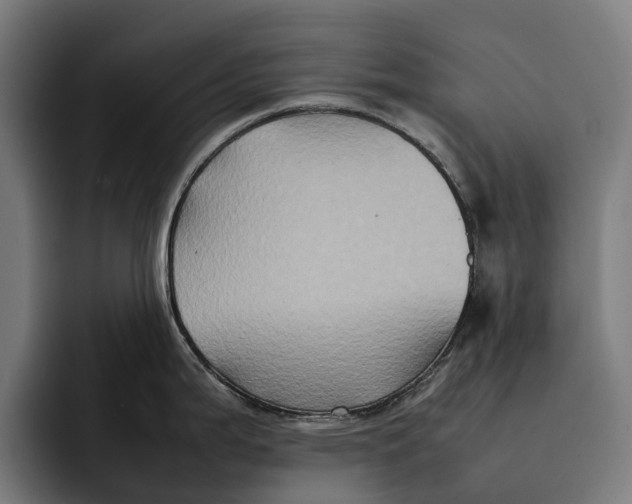 X0000092271199200710121334