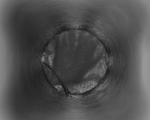 X0000092271202200710121334