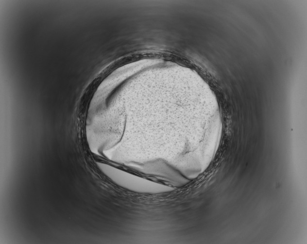 X0000092271208200710121334