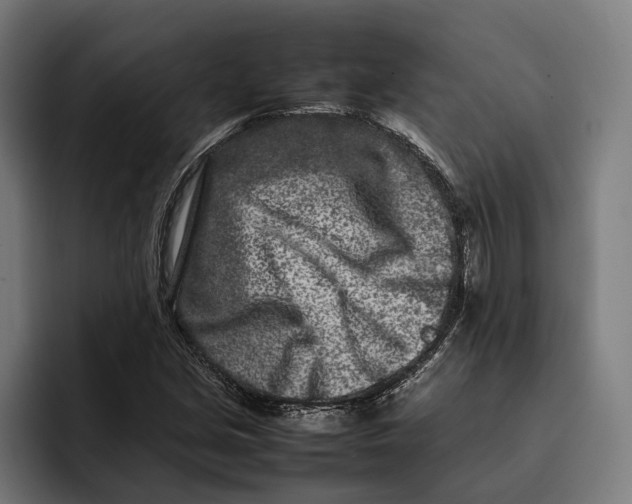 X0000092271213200710121334