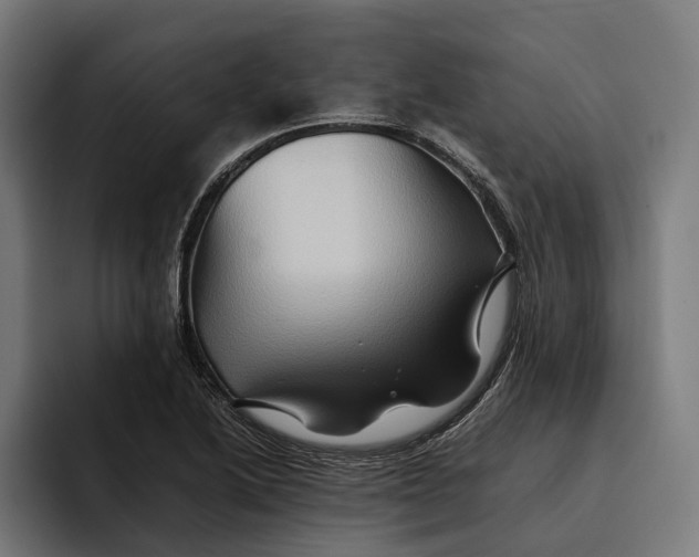 X0000092271222200710121334