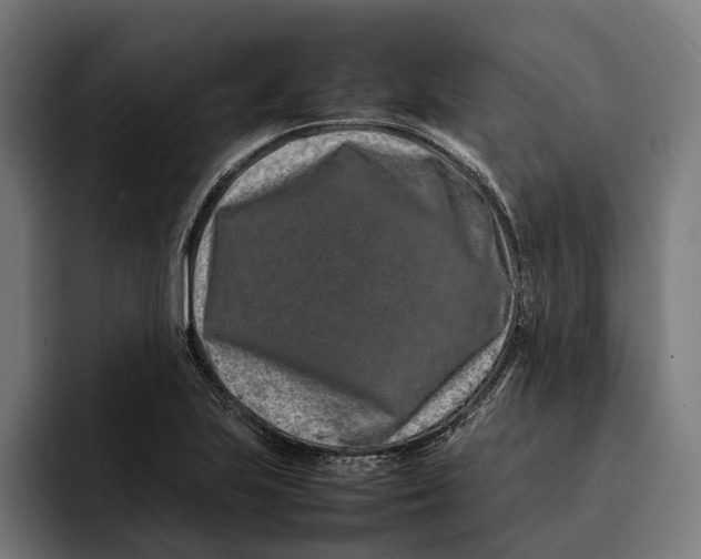 X0000092271223200710121334