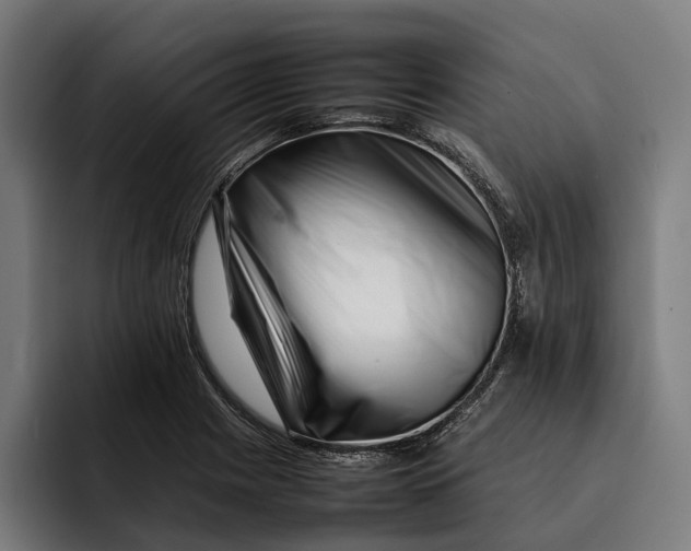 X0000092271225200710121334
