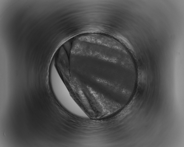 X0000092271226200710121334