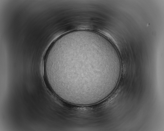 X0000092271227200710121334