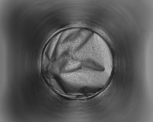 X0000092271228200710121334