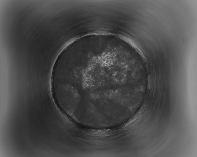 X0000092271229200710121334