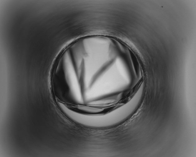 X0000092271230200710121334