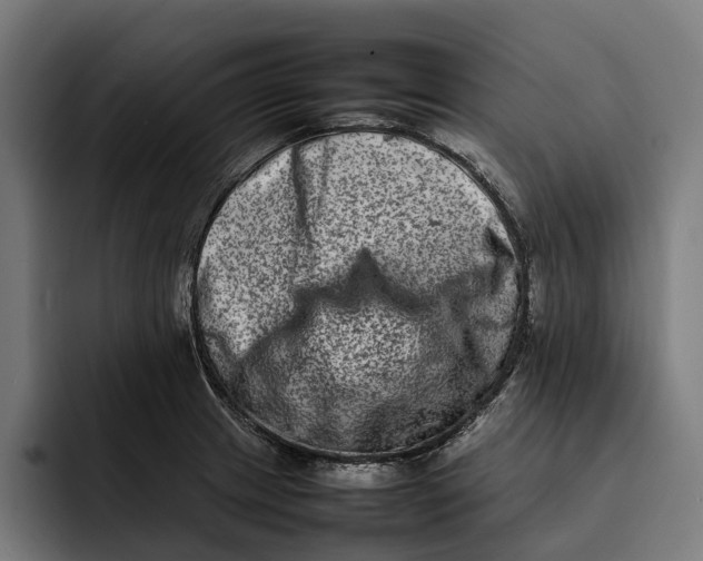 X0000092271233200710121334