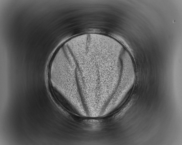 X0000092271235200710121334