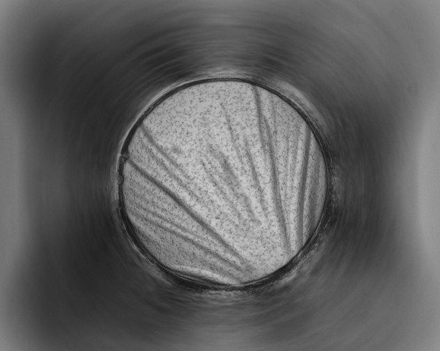 X0000092271236200710121334