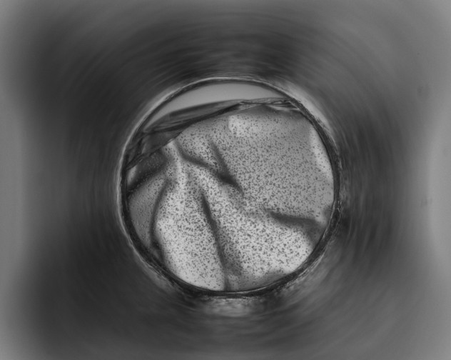 X0000092271237200710121334