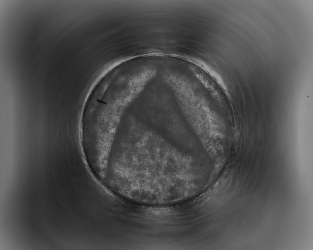 X0000092271239200710121334