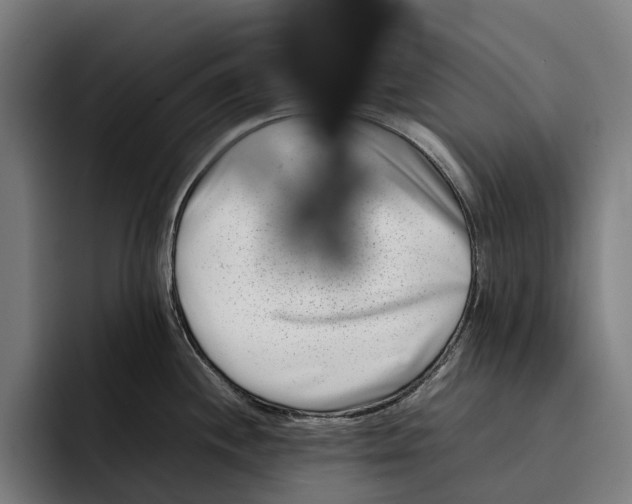 X0000092271244200710121334