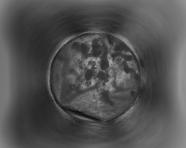 X0000092271245200710121334