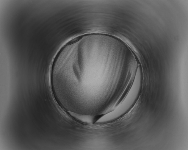 X0000092271246200710121334