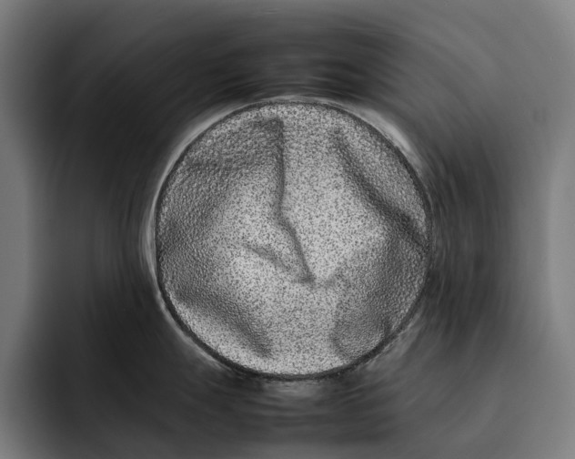 X0000092271247200710121334