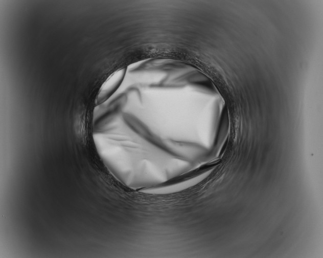 X0000092271250200710121334