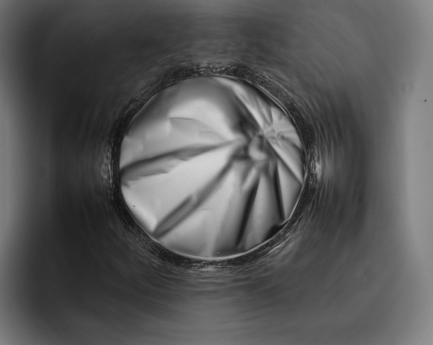 X0000092271252200710121334