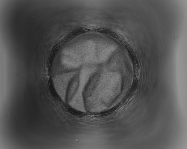 X0000092271253200710121334