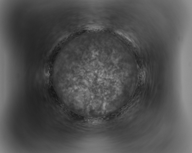 X0000092271254200710121334
