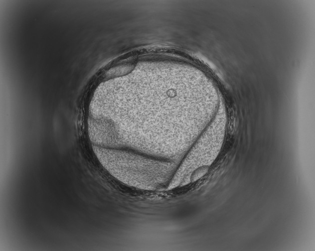 X0000092271255200710121334