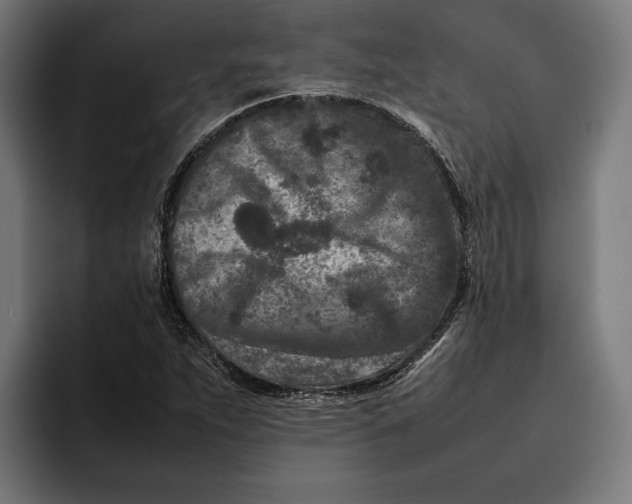 X0000092271263200710121334