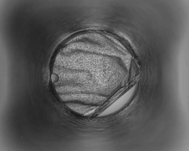 X0000092271267200710121334