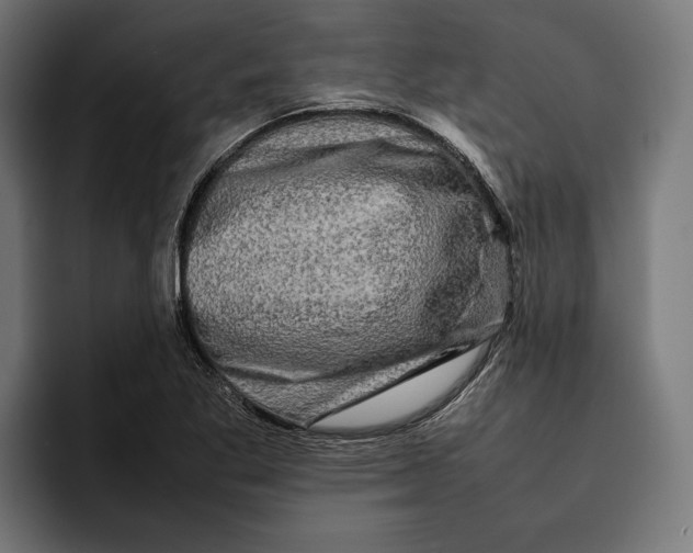 X0000092271269200710121334