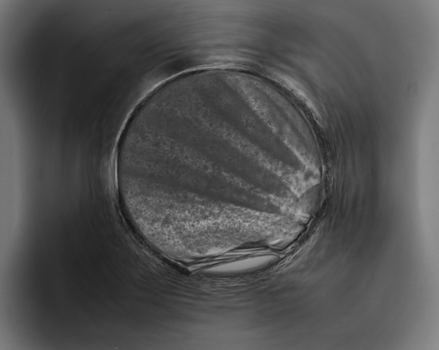 X0000092271275200710121333