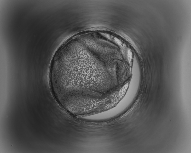 X0000092271277200710121333