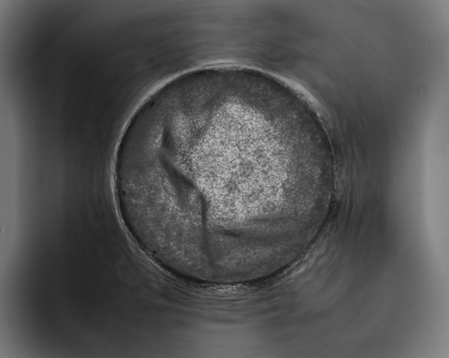 X0000092271279200710121333
