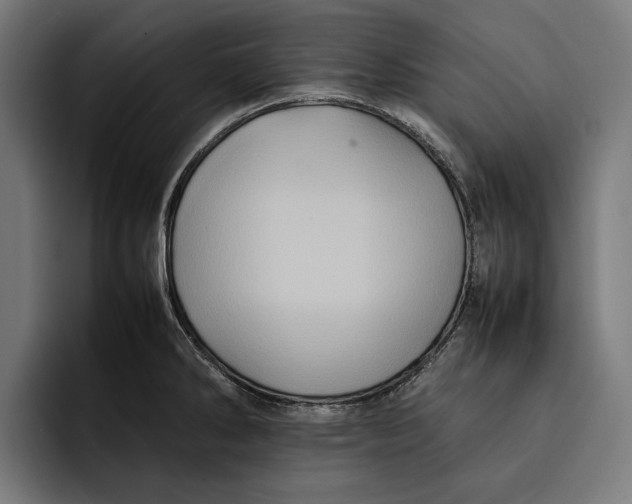 X0000092271286200710121333
