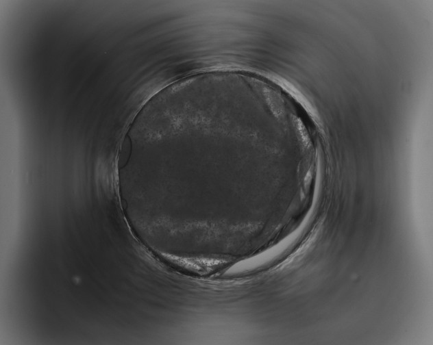 X0000092271289200710121333